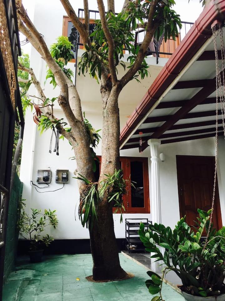 House Of Seya Negombo Exterior foto