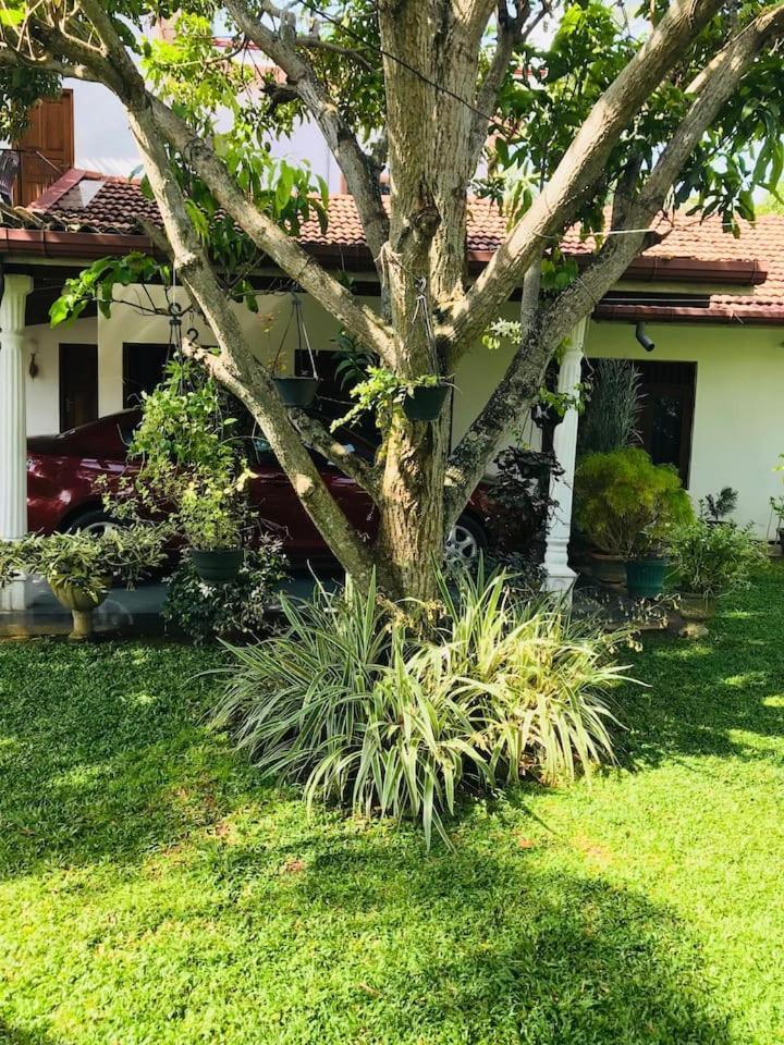 House Of Seya Negombo Exterior foto