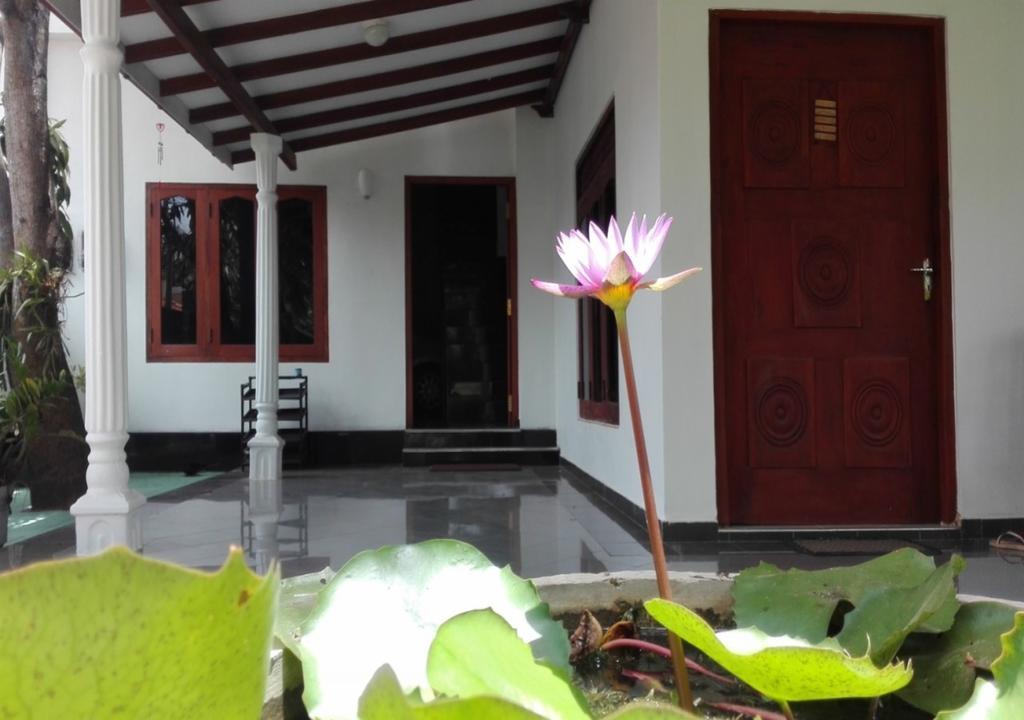 House Of Seya Negombo Exterior foto